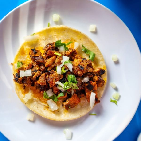 Overhead view of a single Santa Madre Taco Shop taco with meat, onions, and cilantro on a white plate.